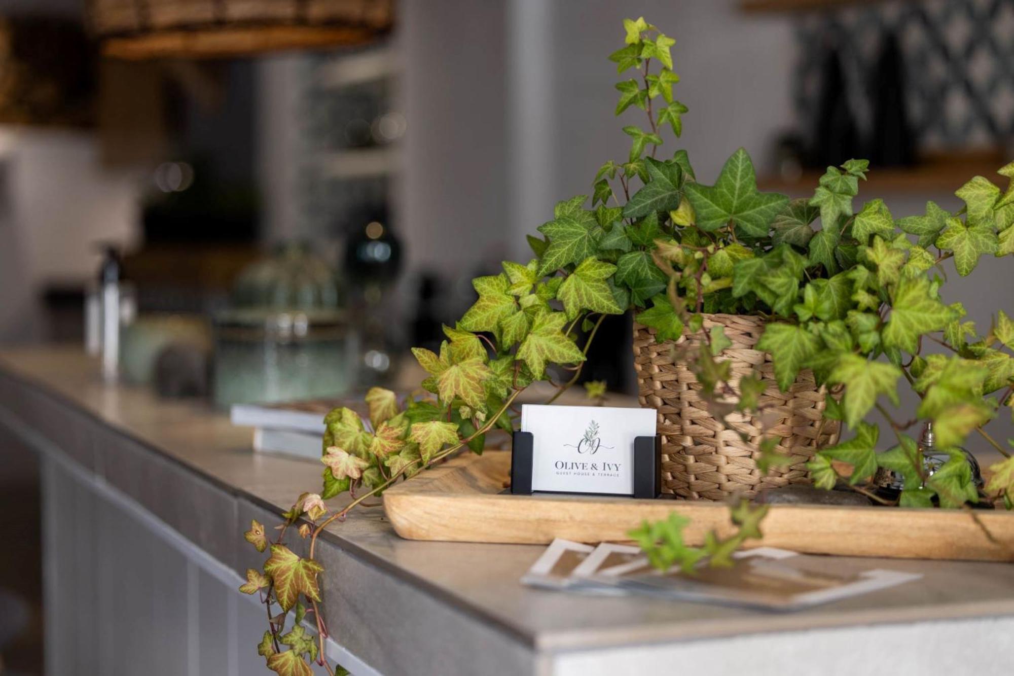 Olive & Ivy Guesthouse Канильяс-де-Асеитуно Экстерьер фото
